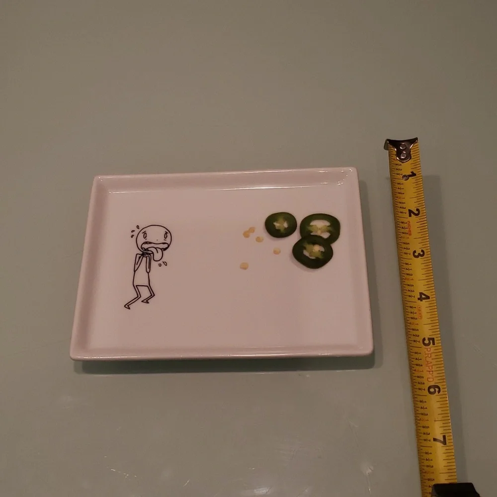 Crate&Barrel Oliver Jalepeno Small Rectangle Plate